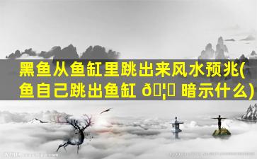 黑鱼从鱼缸里跳出来风水预兆(鱼自己跳出鱼缸 🦁 暗示什么)